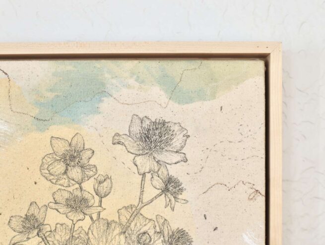 "Marsh Marigold, Cup of Sunshine" - Image 3