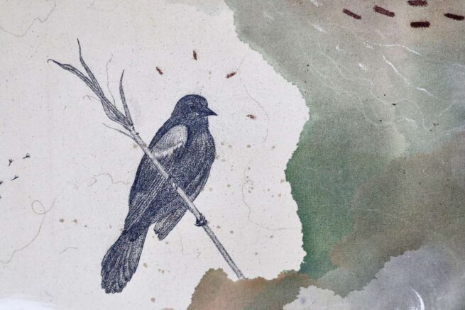 “Red Winged Blackbird, Fierce Protector and Catalyst” - Image 7