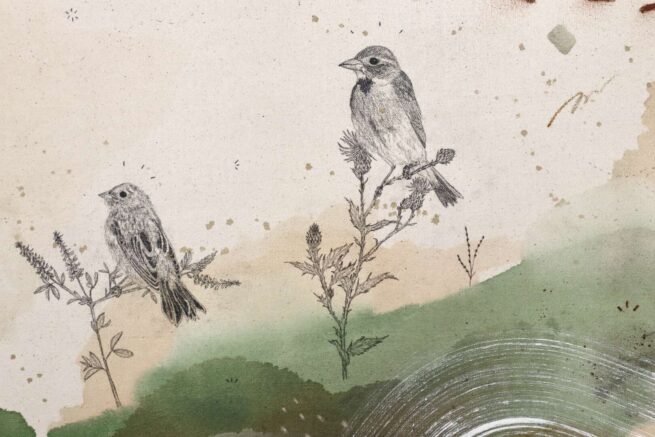 “Dickcissel, a Humble Beauty” - Image 6