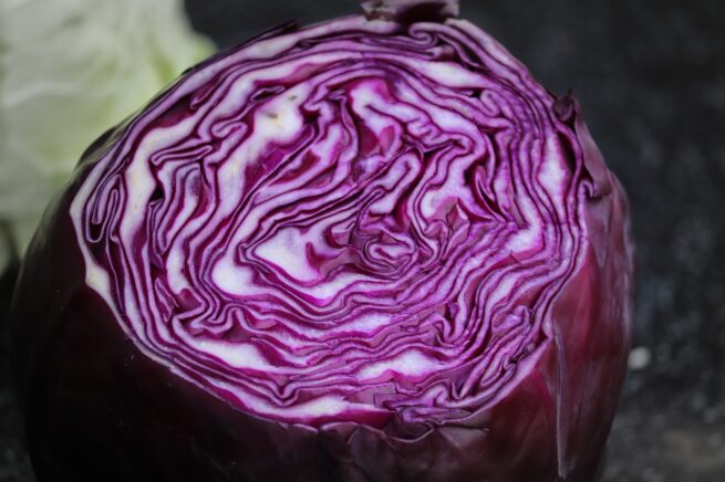 cabbage, red cabbage, cabbage head