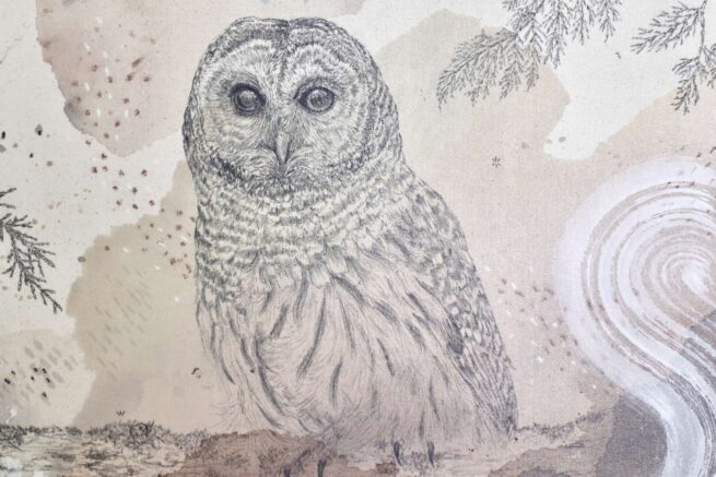 "Barred Owl Hoots for You All" - Image 14