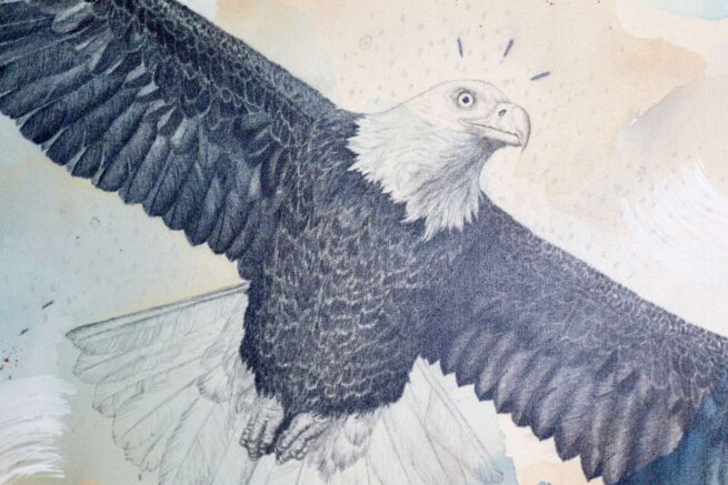 "Bald Eagle, Sacred Emblem & Protector" - Image 8