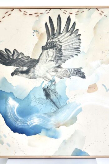 "Osprey Takes the Plunge"