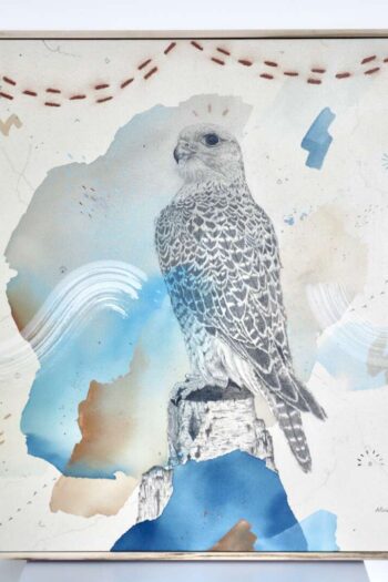 "Gyrfalcon, a King of Kings' Companion"