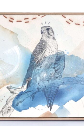 "Prairie Falcon, Spirit in the West"