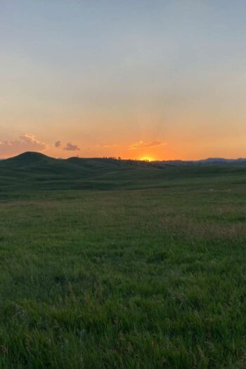 a grassy field with a sunset in the background