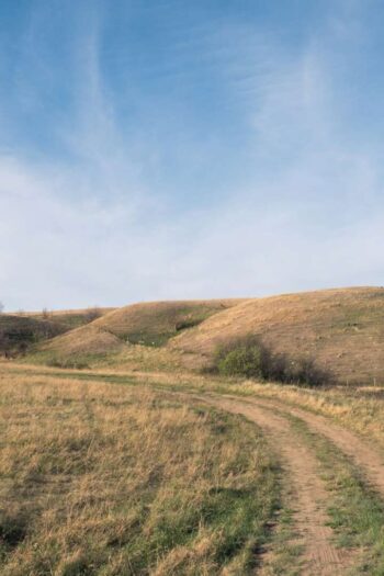 green grass field under blue sky during daytime