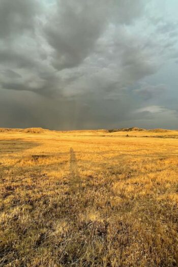 brown grass field under gray clouds