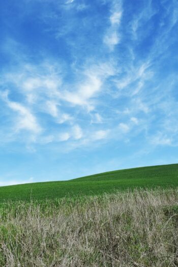 a grassy hill under a blue sky with clouds
