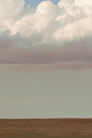 A lone horse standing in a field under a cloudy sky